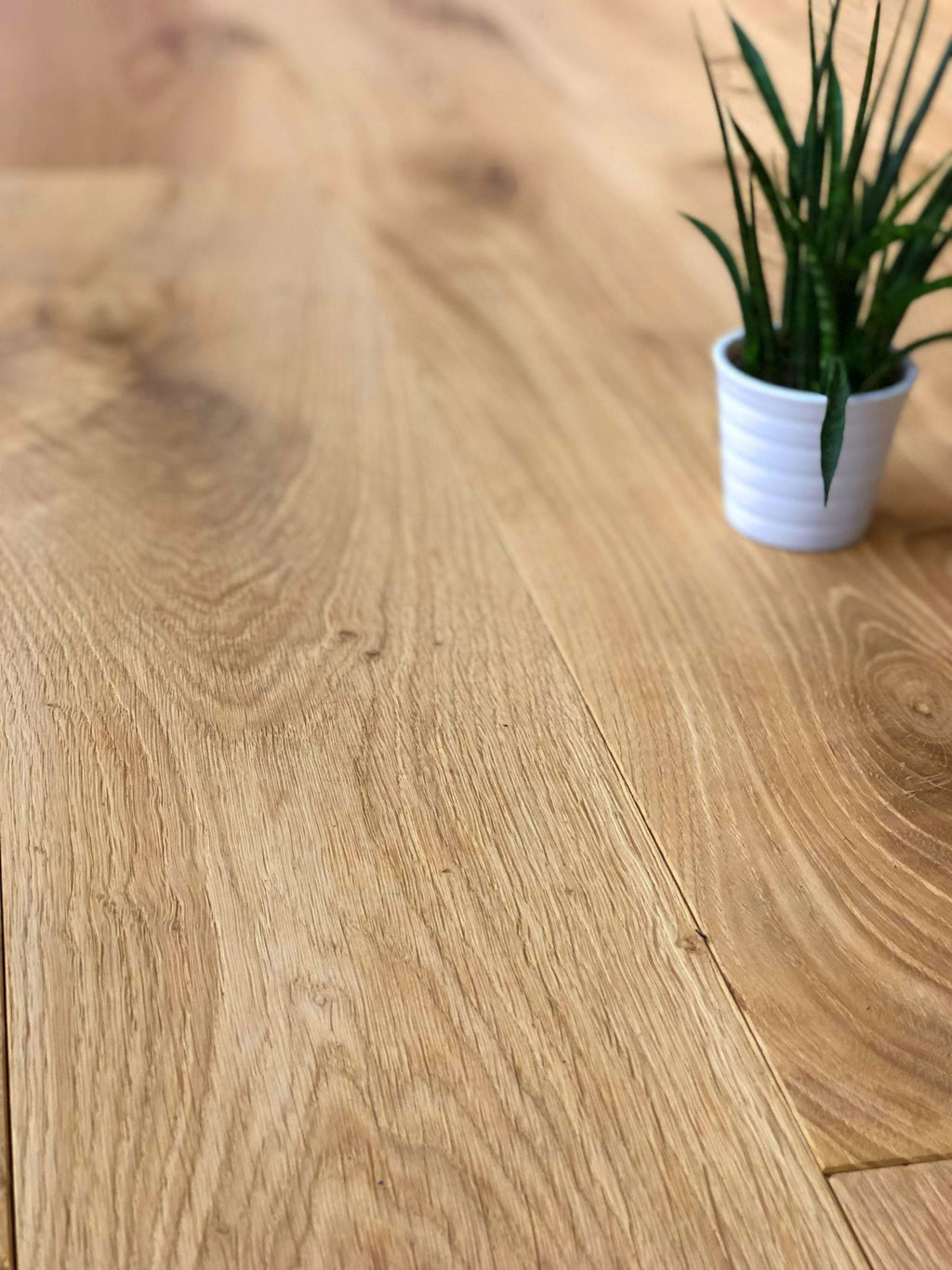 Solid brushed oak boards used as natural oak flooring