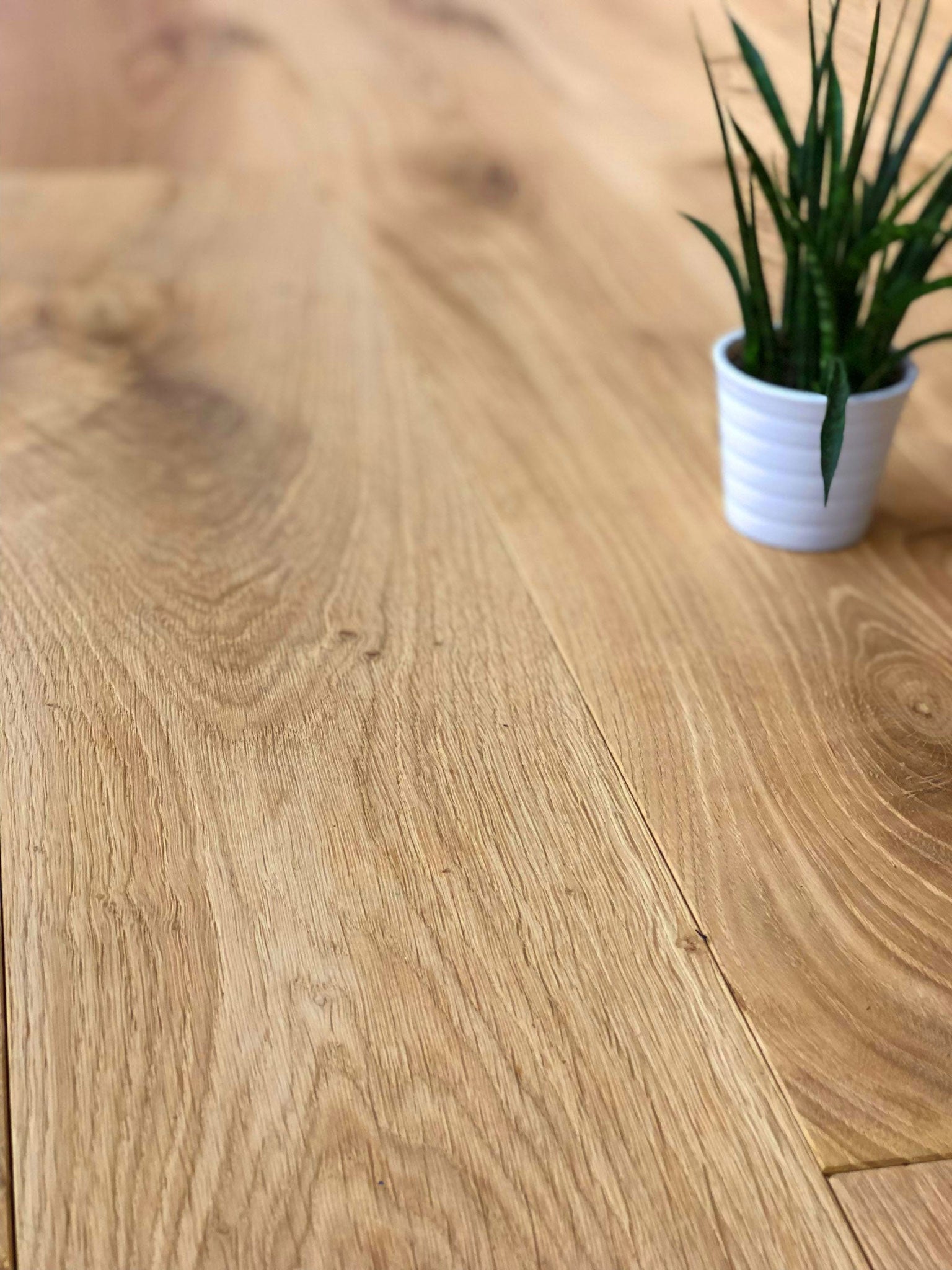 Solid brushed oak boards used as natural oak flooring
